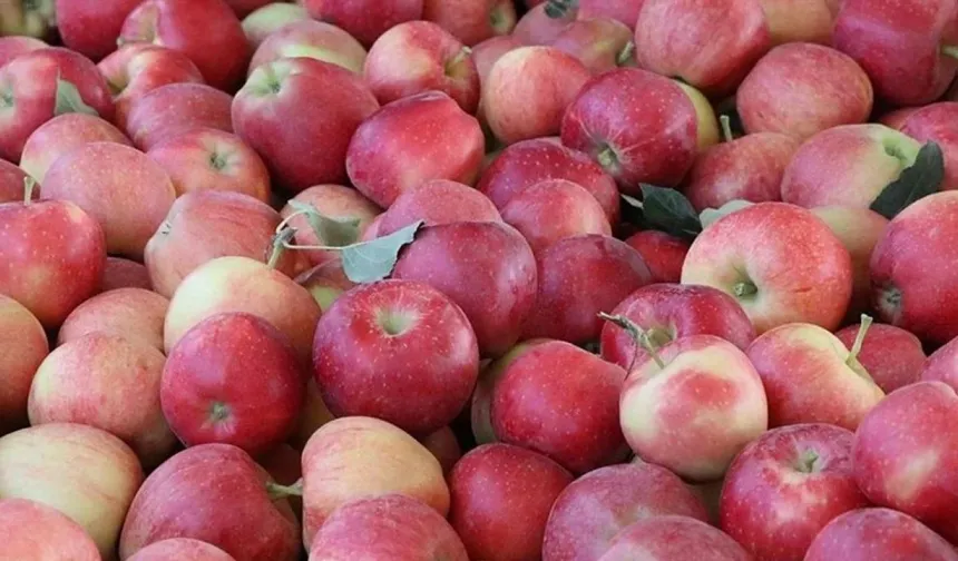 Elmada limit üstü bitki koruma ürünü
