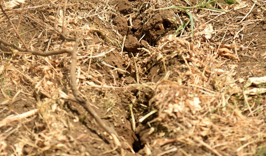 Toprakaltı sulama sistemi Güzelyurt İstasyonunda denenecek
