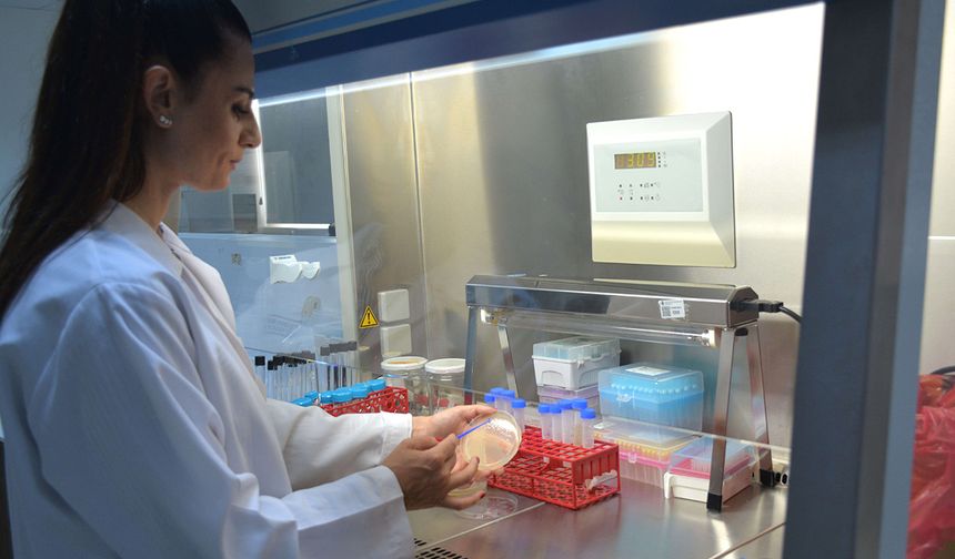 Yakın Doğu Üniversitesi’nden tarihi keşif: Alasiavirus!