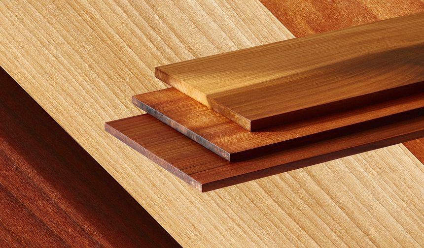 Bilim insanları çeliğin 10 katı güçlü “Süper ahşap” geliştirdi