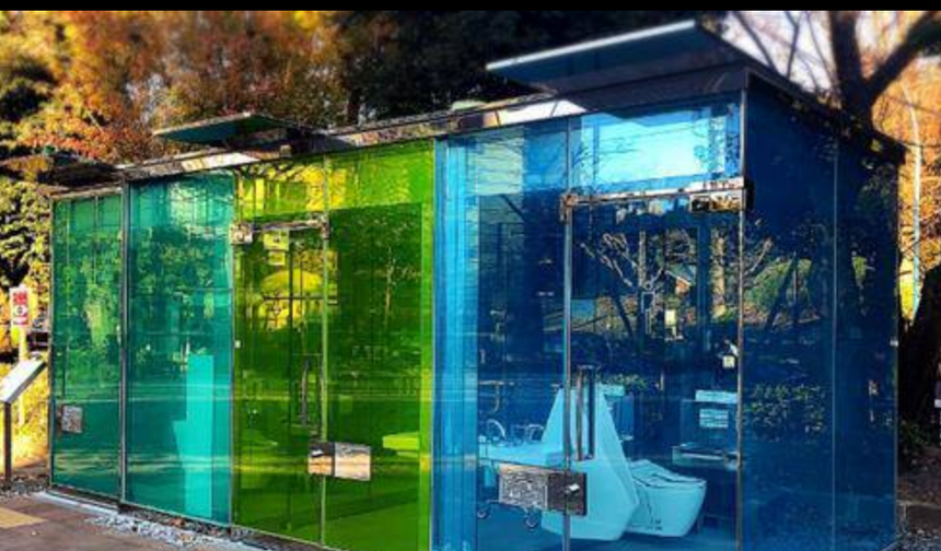 Japonya'da umumi tuvaletten çıkan yaşlı adama ayı saldırdı