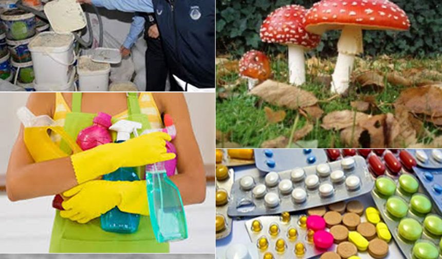 Zehirlenme: Her Evde, Her Adımda Sessiz Tehlike