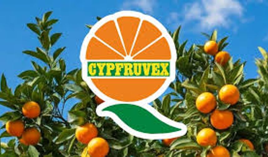 Cypfruvex Meysan Sıkma Tesisi pazartesi gününden itibaren başvuru kabul edecek