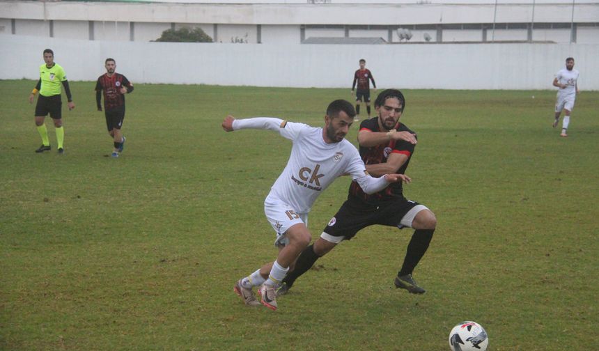 Yalova hayata, Hamitköy komaya