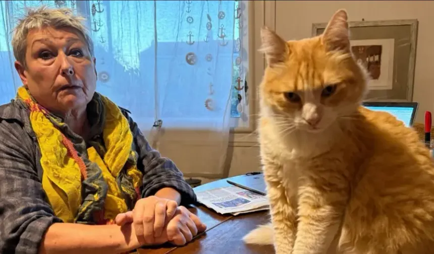 Dünyanın ilk ev hapsi alan kedisi