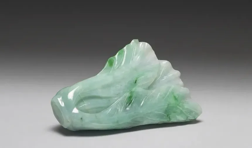 Bu lahanayı görmek için kuyruğa giriyorlar