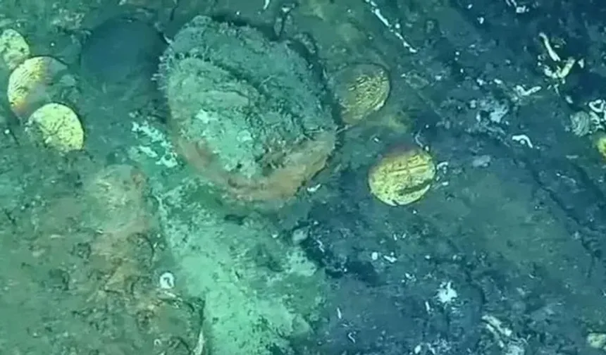 724 milyar TL'lik tarihi hazine ortaya çıktı