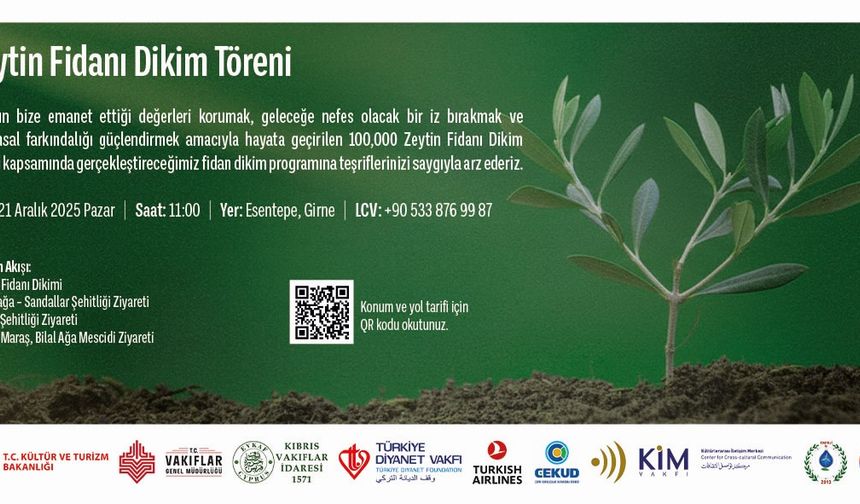 Kıbrıs Vakıflar İdaresi yarın Esentepe'de zeytin fidanı dikecek