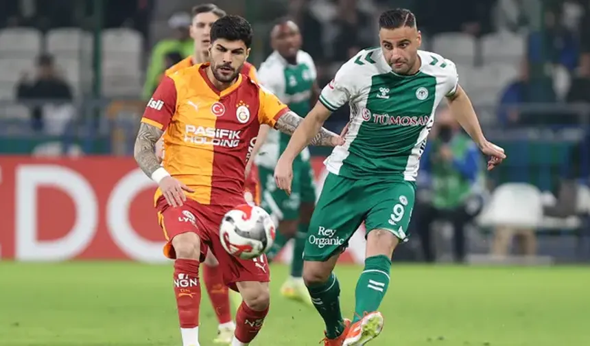 Aslan, Konya'da ağır yaralı