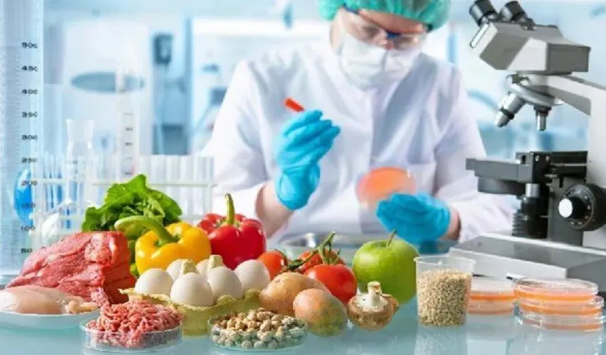 Haftalık gıda denetimleri