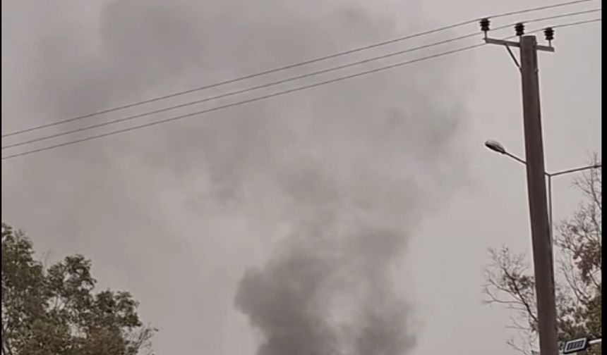 “Çevre Dairesi ne işe yarıyor”