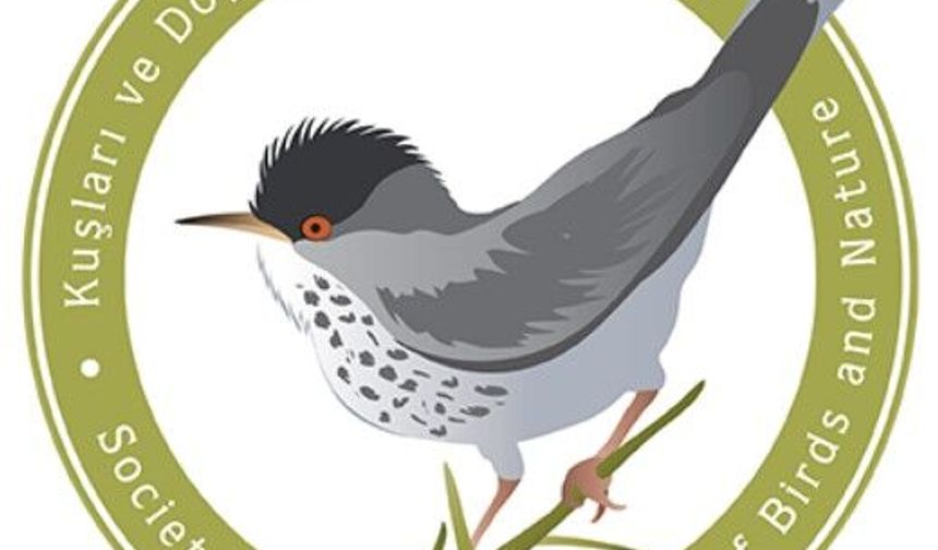 KUŞKOR'dan İnce Av'ın mart ortasına uzatılmasının yaban hayata zarar vereceği uyarısı