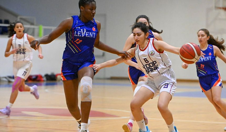 Levent seriye fırtına gibi başladı