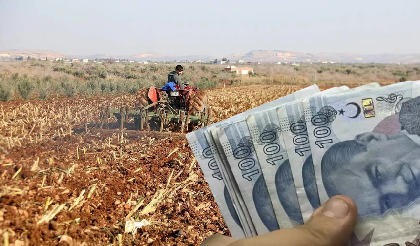 2025-2026 üretim yılı tazminat ödemeleri ve Doğrudan Gelir Desteği için son başvuru tarihi 27 Şubat