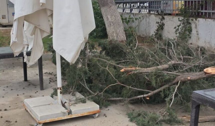 Gazimağusa’da olumsuz hava koşullarının yol açtığı sorunlara belediye müdahale etti