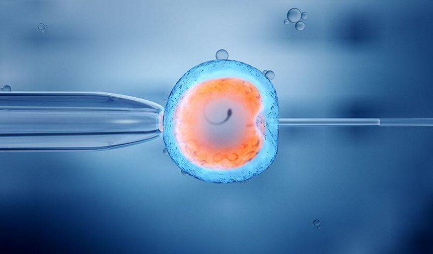 Tüp Bebek Kliniklerinde ‘Sperm Karmaşası’ Skandalı