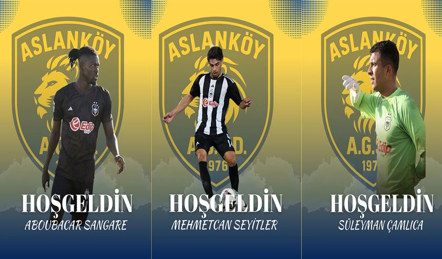 Aslanköy’e üç kartal daha