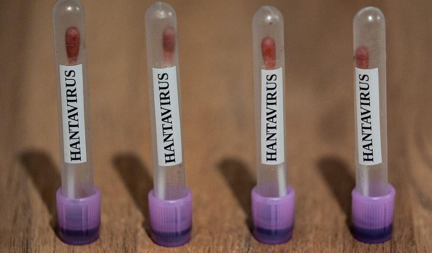 Sağlık Bakanlığı, hantavirüs görülen gemide KKTC vatandaşı bulunmadığını açıkladı