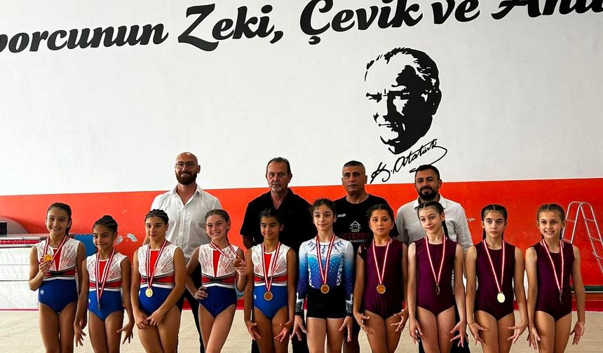 Cimnastikçiler, Oktay – Ülgen Erülkü anısına yarıştılar