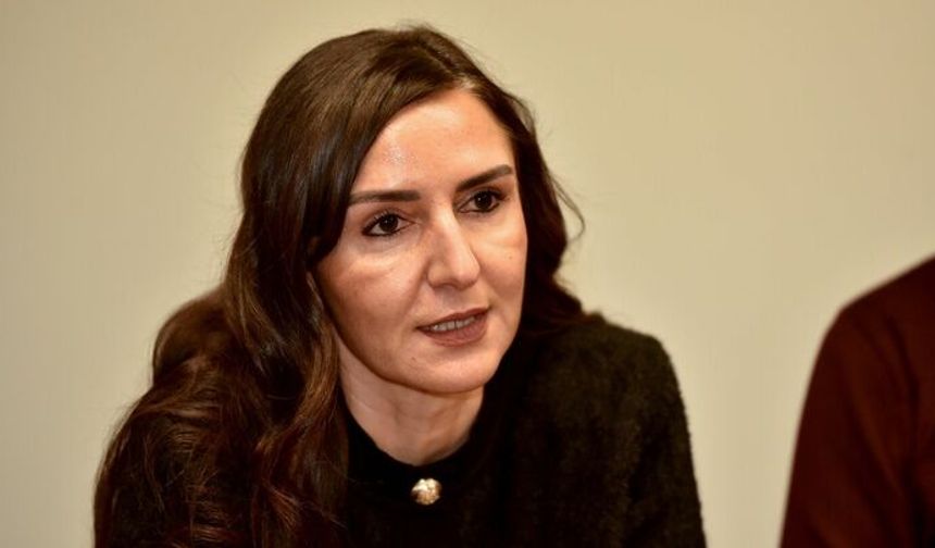 "Ülkeye girişlerde ne tür önlemler alınacak?”