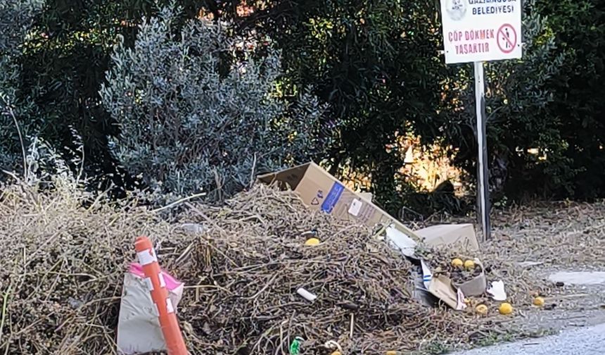 “Madem ki vatandaş seni sallamaz, sen vatandaşa salla”