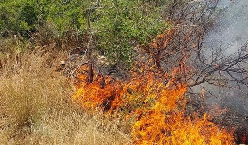 Taşkent’le Güngör arasındaki yangın korkuttu