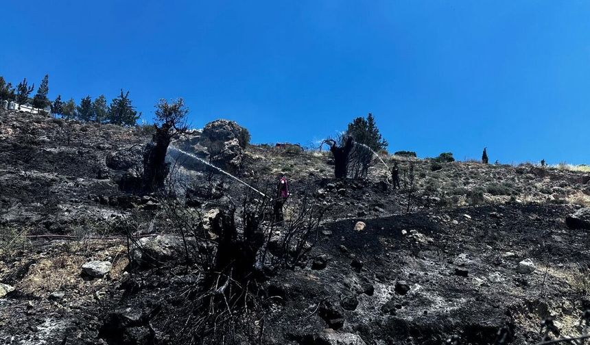 Taşkent Doğa Parkı yakınlarındaki yangın korkuttu