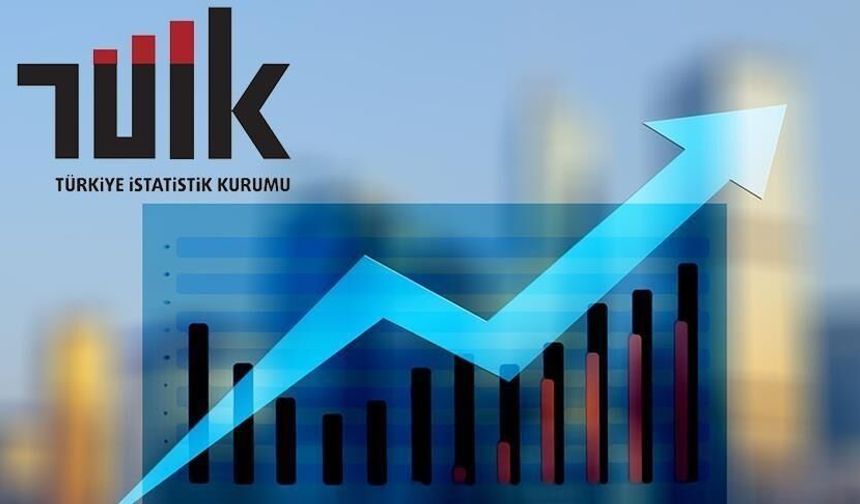TÜİK: Ekonomi yılın ilk çeyreğinde yüzde 2,5 büyüdü