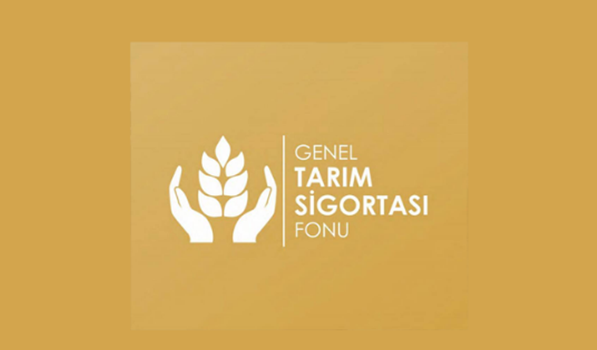 Dolu zararı için 9 üreticiye tazminat ödemeleri başladı
