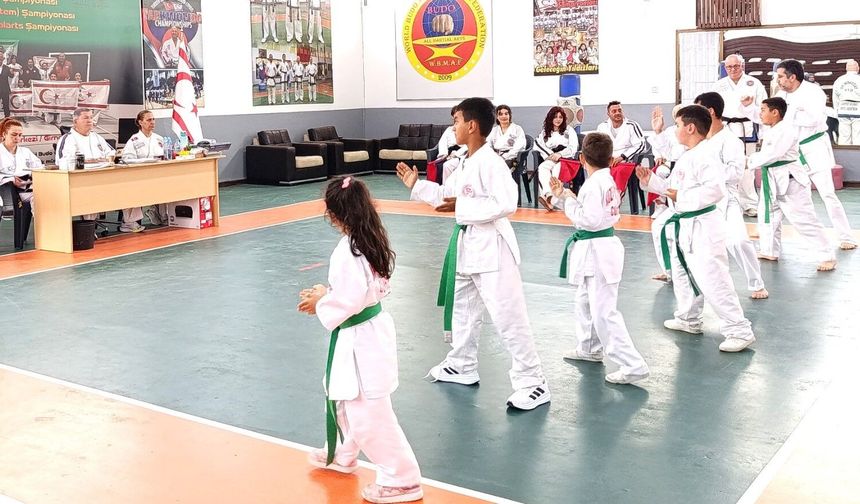 Taekwando renkli kuşak sınav sonuçları açıklandı