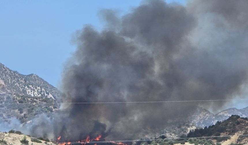 Yamaçköy-Tirmen arasında ormanlık alanda büyük yangın