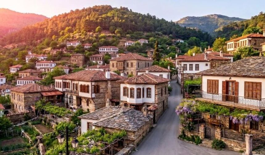 Koca köyde tek başına yaşıyor
