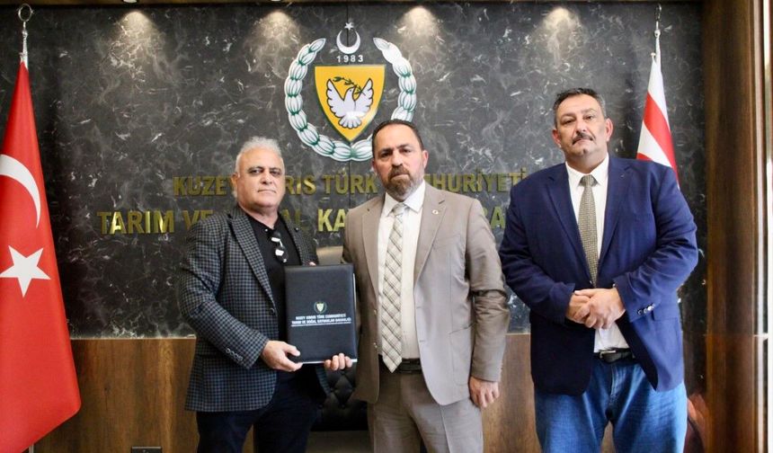 Yukarı Dikmen Kuzeybatı Havzası Deresi’ne betonarme ıslah sekisi yapılıyor