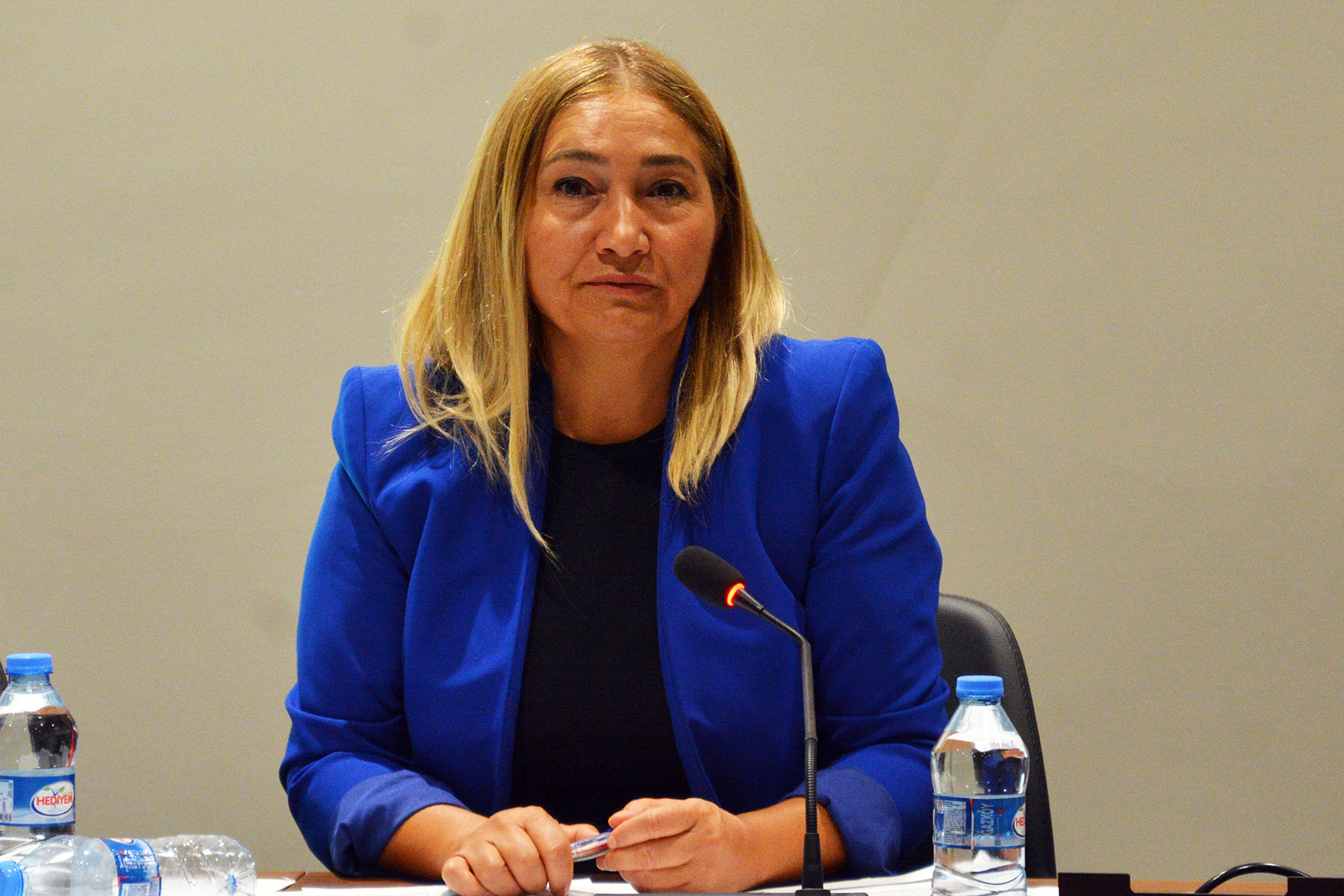 1751094724534Hukuk Komitesi Toplandı (2)