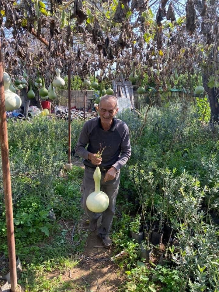 Hasan Paralı