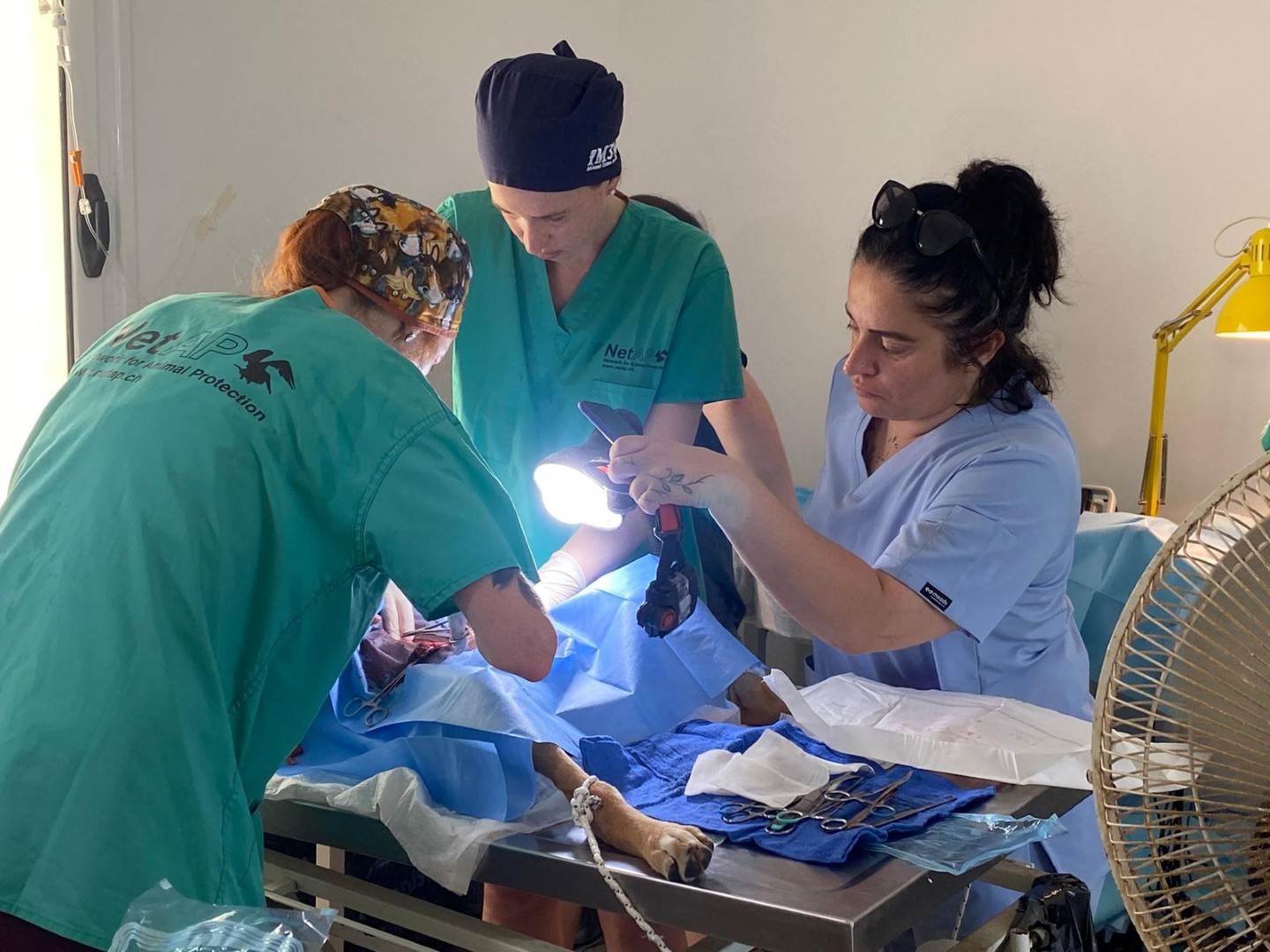 1753357552705İskele Beledi̇yesi̇ Kisirlaştirma8