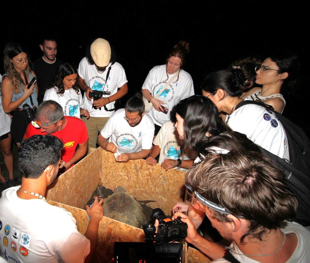 1753791708787Daü Caretta Caretta (3)