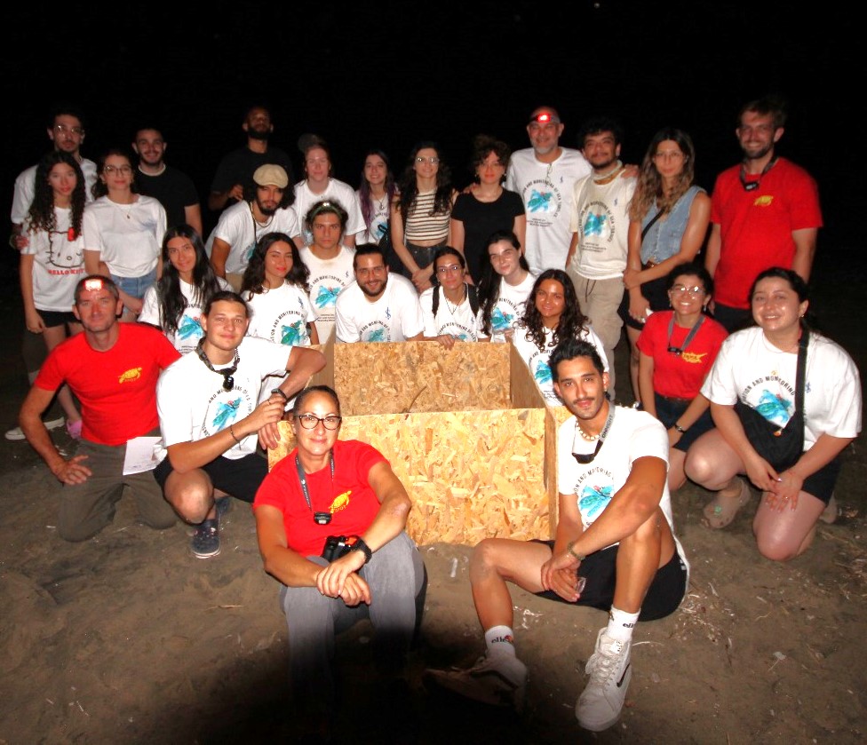 1753791708787Daü Caretta Caretta (4)