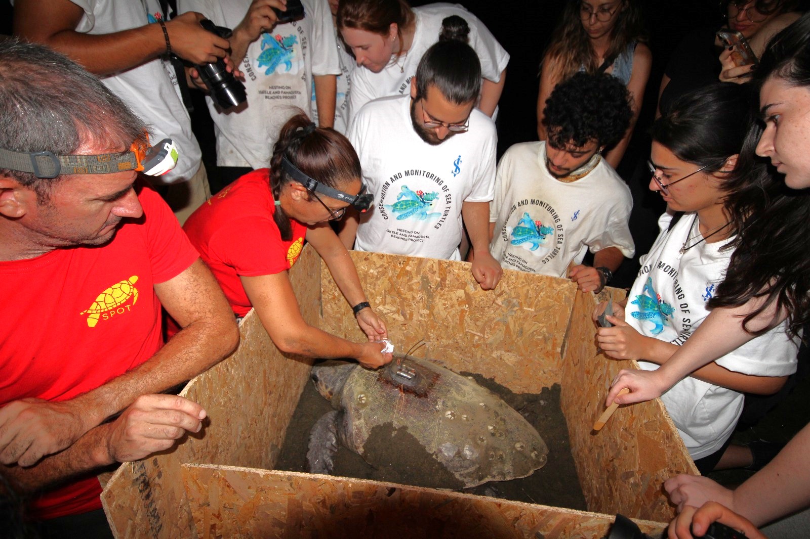 1753791708788Daü Caretta Caretta (2)