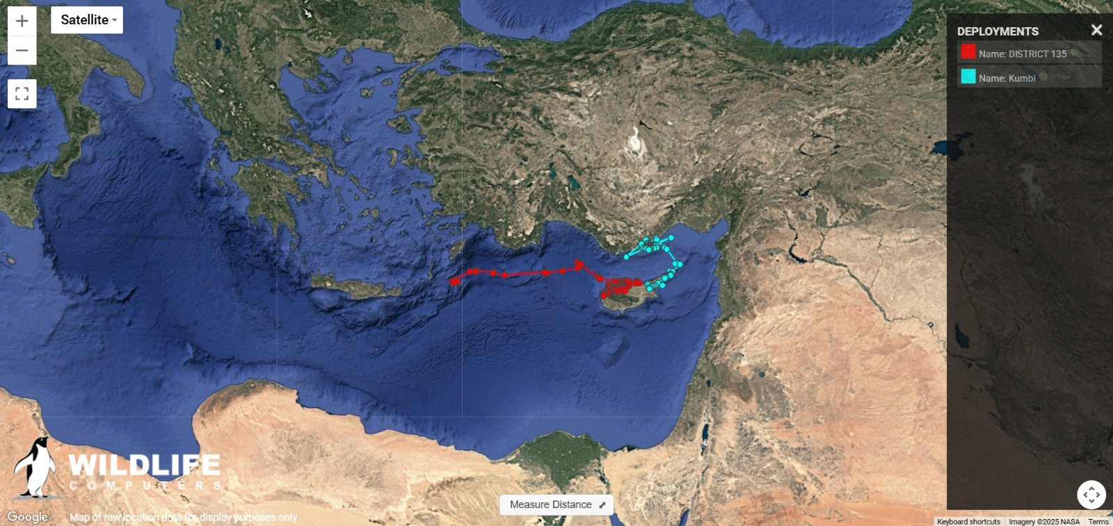 1753791708789Daü Caretta Caretta (1)