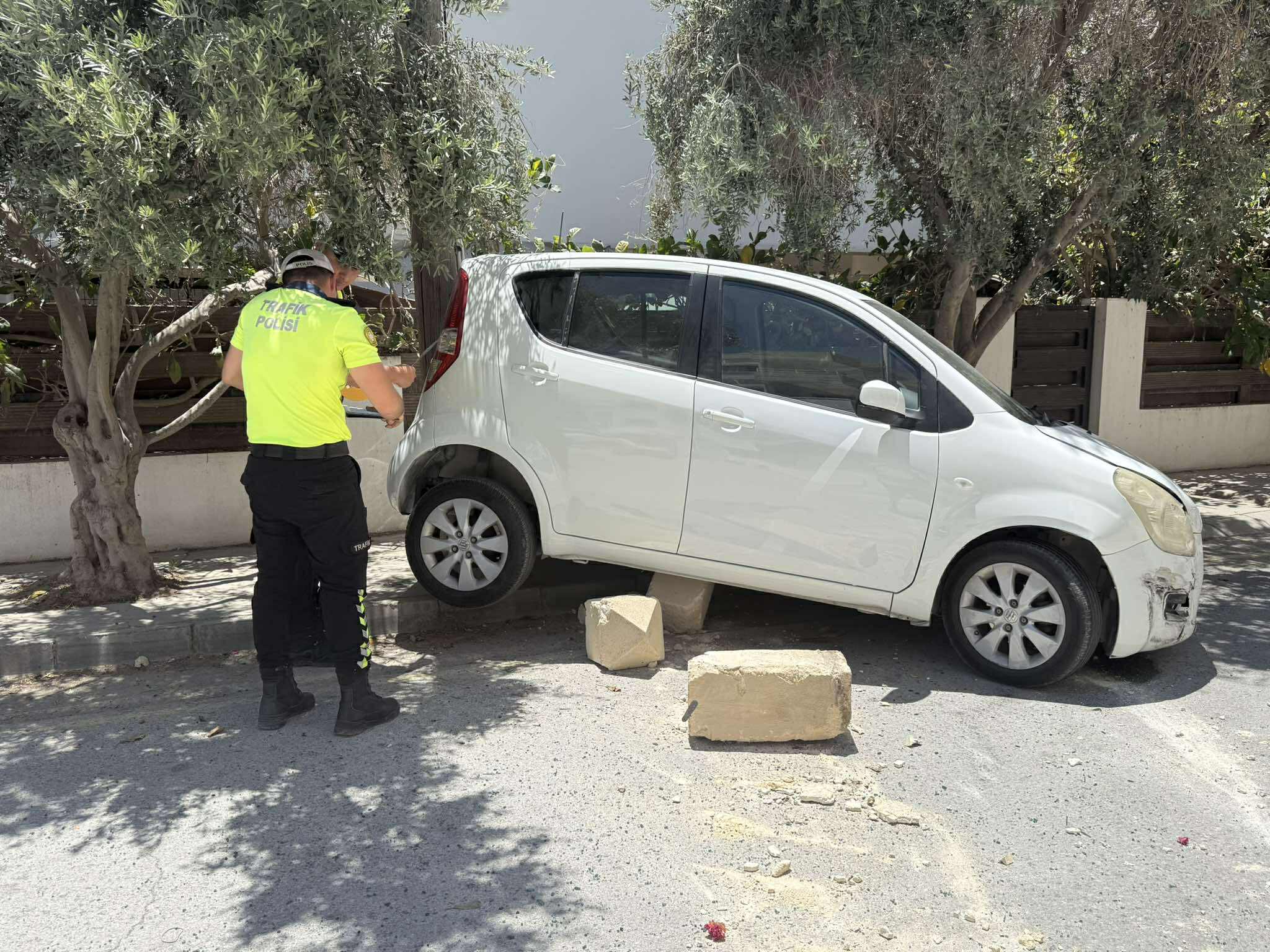 515662892 1404116520641779 7544066537286213003 N