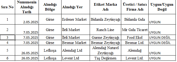 Ekran Görüntüsü 2025 07 04 103138