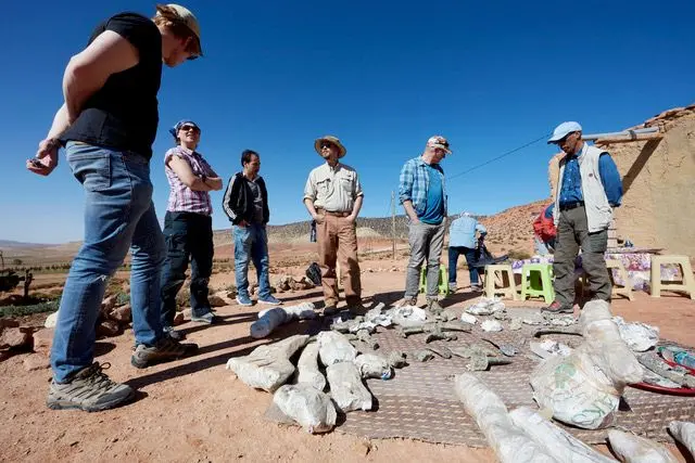 1756450775932E50C84C0 7F66 11F0 83Cc C5Da98C419B8.Jpg