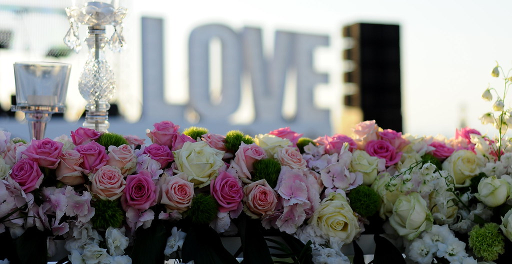 31906776272 61A44Cff37 B