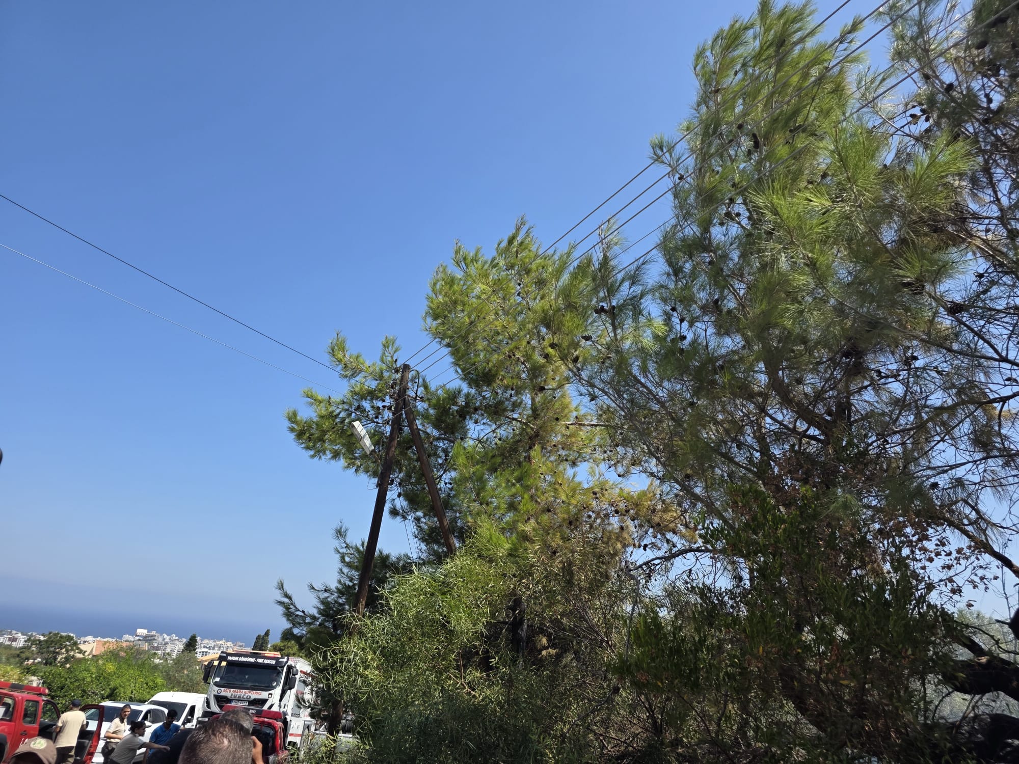 7Aa0Ad8F 5Cab 44A8 A7A2 42B39Fca5A34