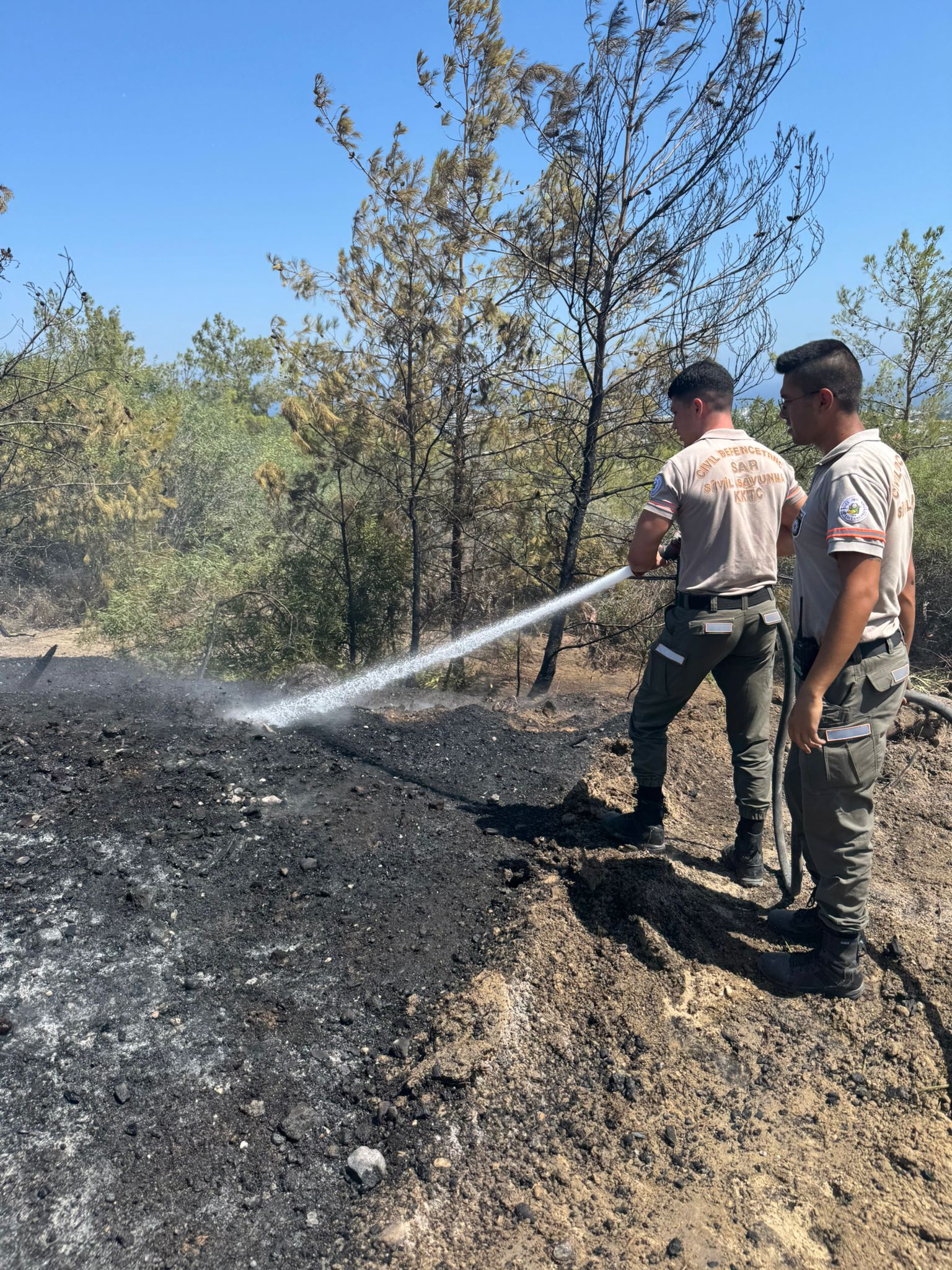 C972Cea1 5A75 4387 B6Bd 85636Cbd794B