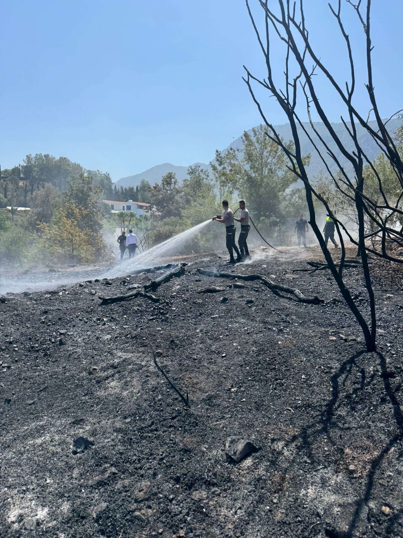 Ce5A7B52 2064 4B12 B33B 936C38155Bfa