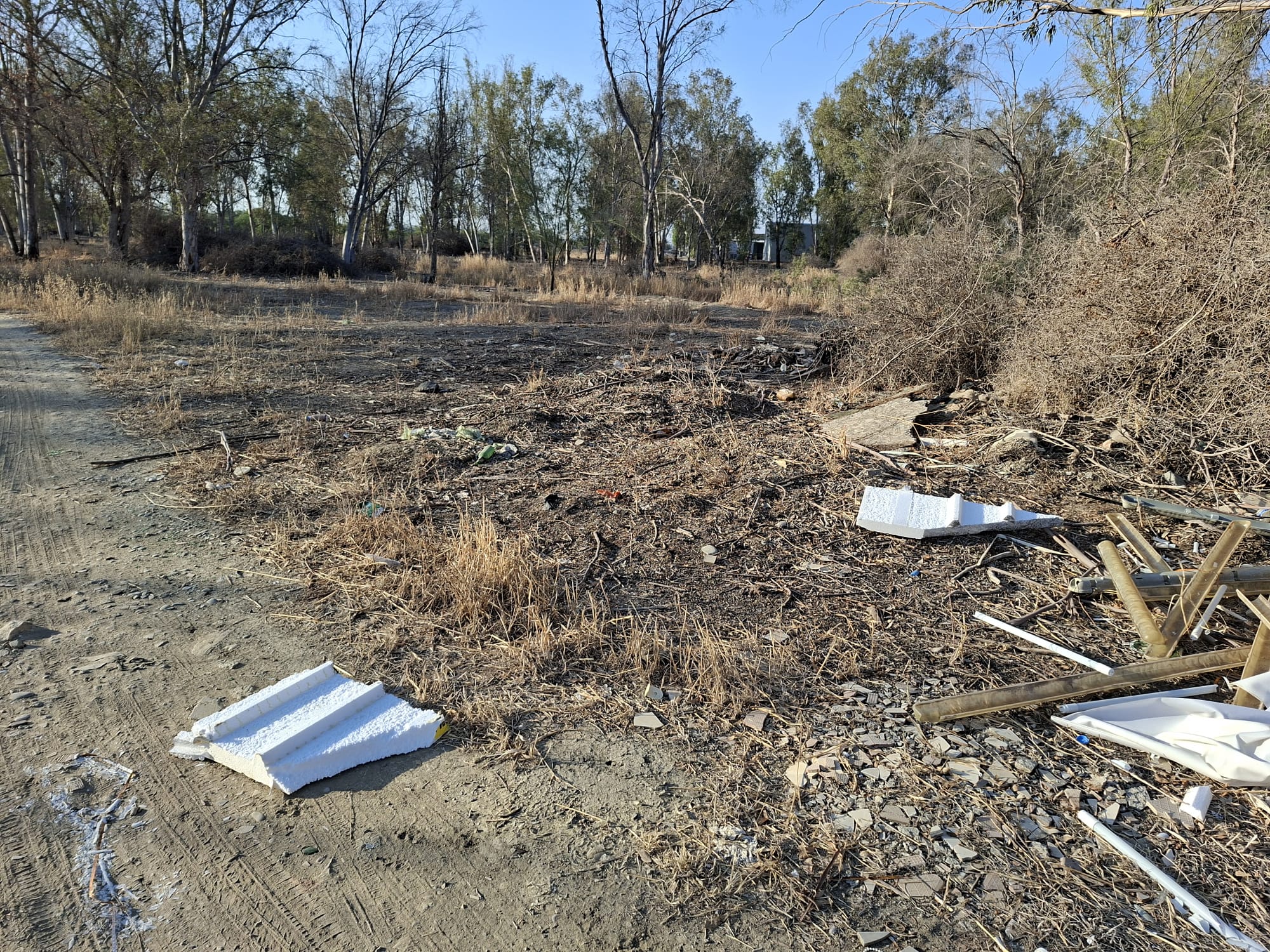 Hamitköy Korulukları (2)