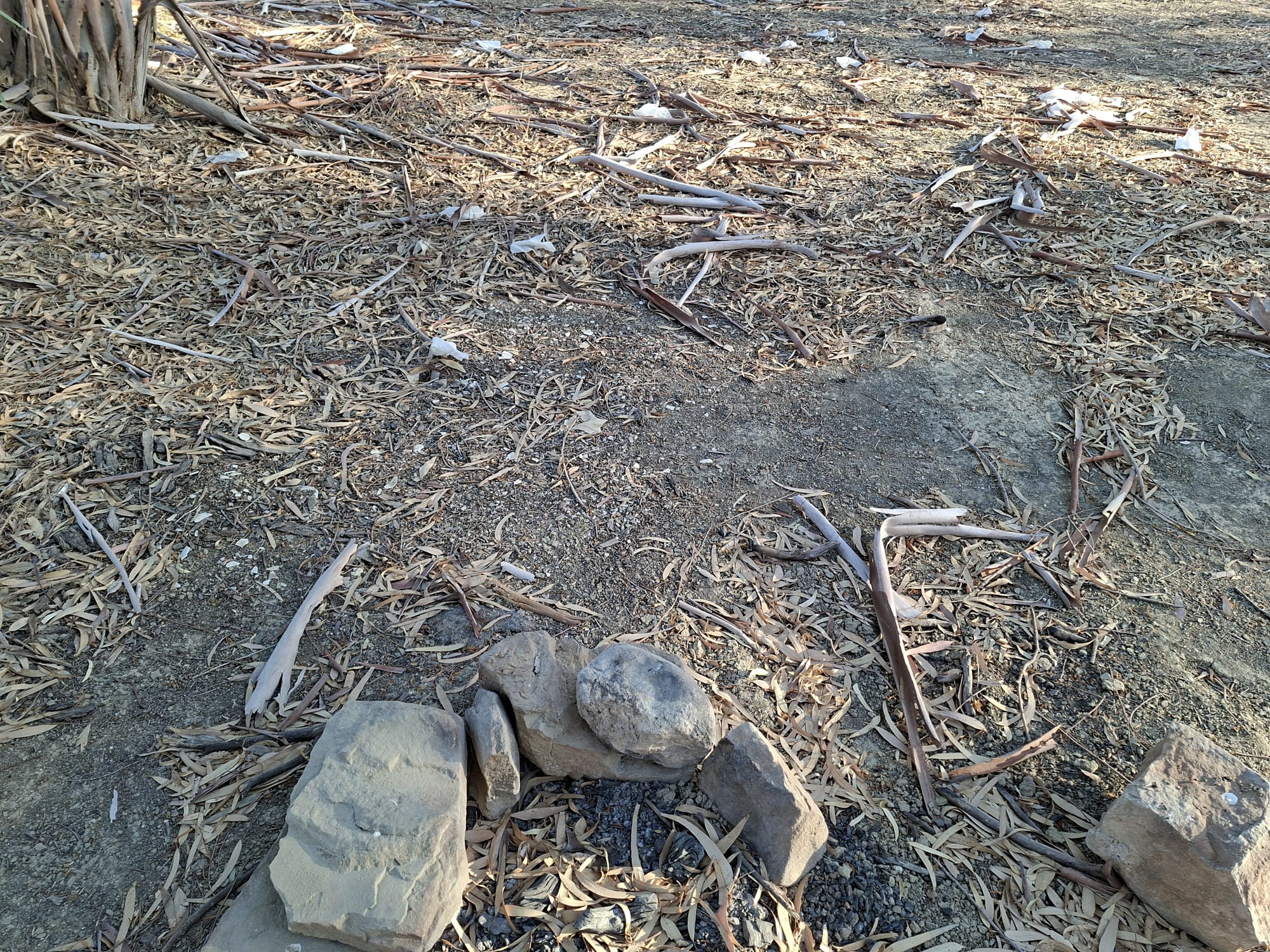 Hamitköy Korulukları (3)