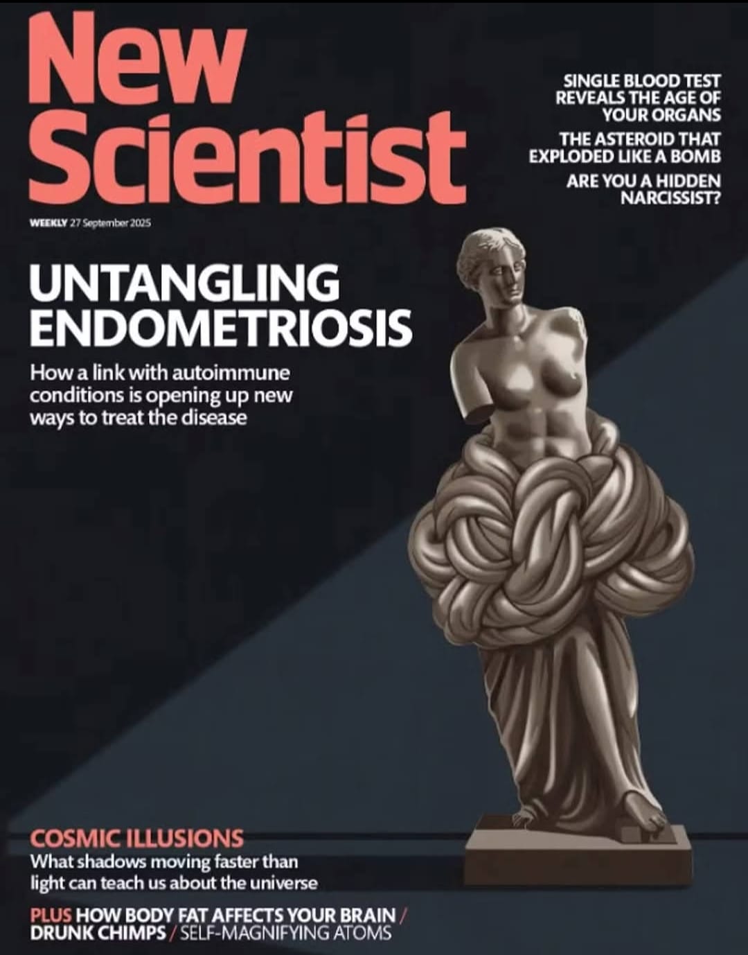 1759216535953New Scientist Nilüfer Rahmioğlu